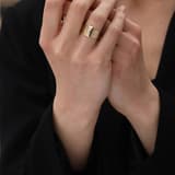 Pırlantalı Elegant Diamond Altın Yüzük 5 Sıra Saten 5